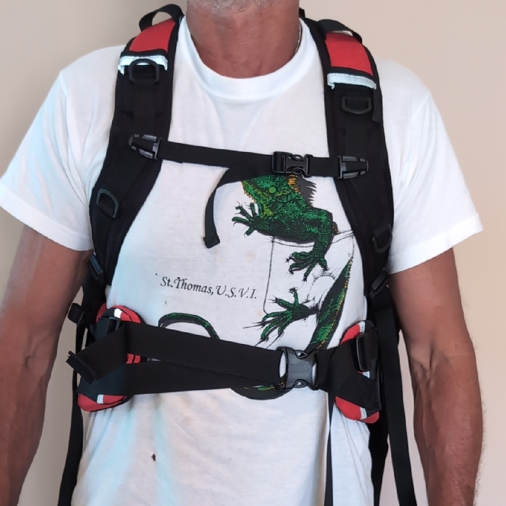 Coaxsher Backpack - image 3